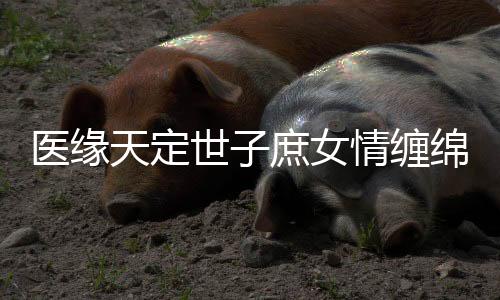 医缘天定世子庶女情缠绵