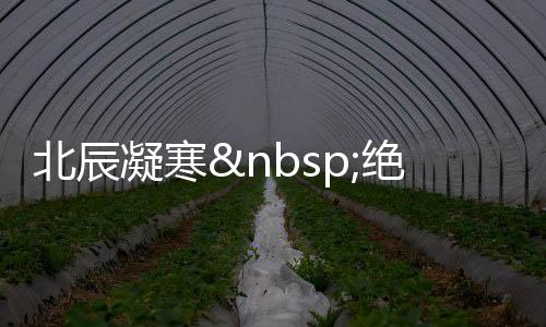 《京娇盛宠》全文在线阅读