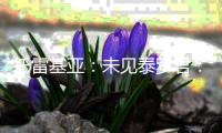 托雷基亚：未见泰