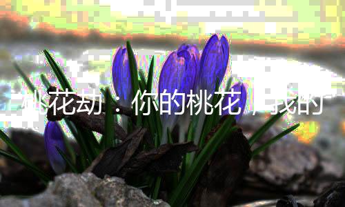 《预谋心动》全文在线阅读