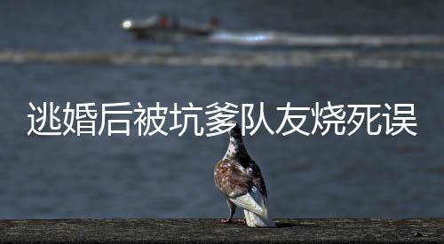 《八零对照组：换亲后，我被团宠了》全文在线阅读