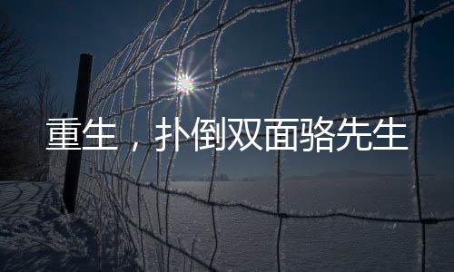 《算卦太准，一不小心功德爆表啦！》全文在线阅读