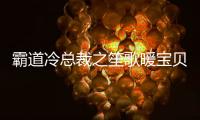 霸道冷总裁之笙歌