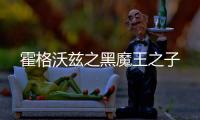 霍格沃兹之黑魔王