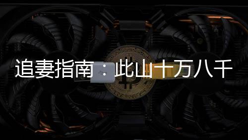 追妻指南：此山十万八千重